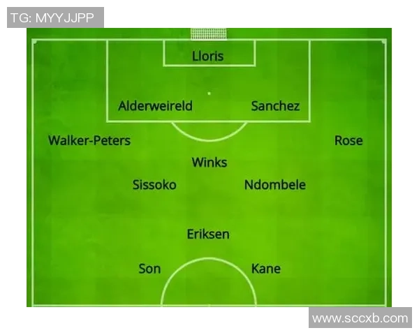 足球中标的背后故事与市场潜力分析探讨