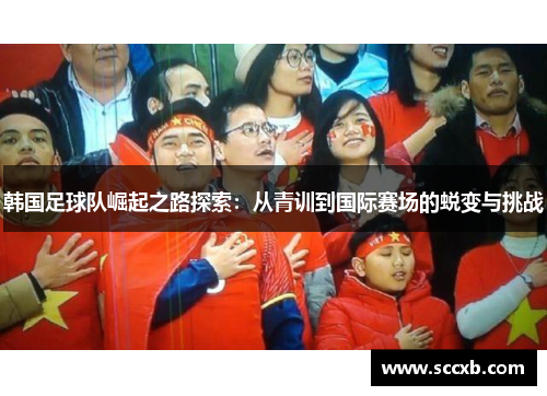 韩国足球队崛起之路探索：从青训到国际赛场的蜕变与挑战
