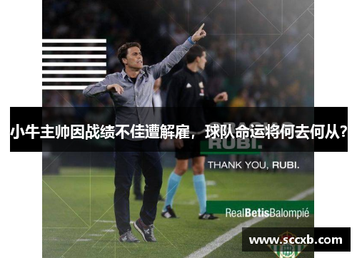 小牛主帅因战绩不佳遭解雇，球队命运将何去何从？