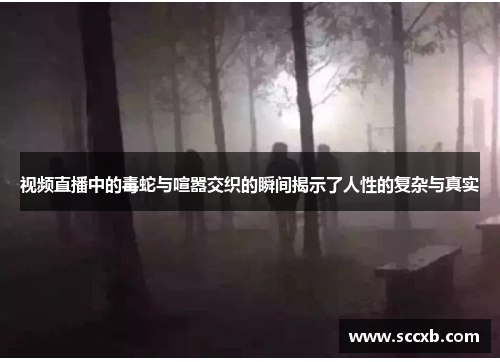 视频直播中的毒蛇与喧嚣交织的瞬间揭示了人性的复杂与真实