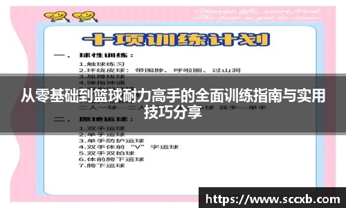 从零基础到篮球耐力高手的全面训练指南与实用技巧分享